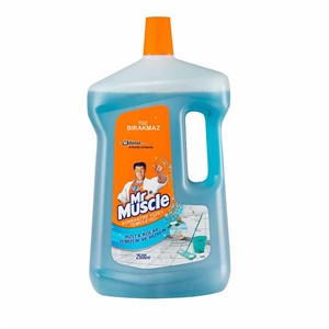 MR MUSCLE SURFACE CLEANER 2,5 LT